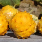 Exotische Früchte Exotische Früchte